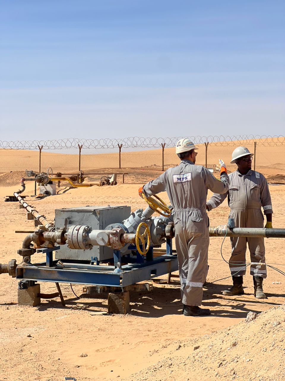 Sand Management System